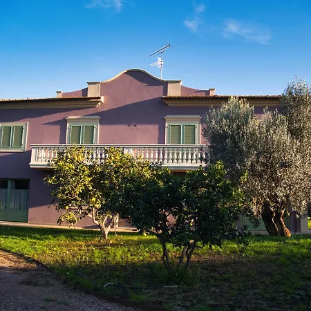 Tenuta Merlò-3